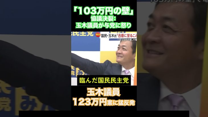 国民民主党玉木雄一郎怒りの原因とは。日本の政治は変わらない国民民主党の玉木雄一郎氏が怒りを抑えられない理由とは #たまき #国民民主党 #国民民主党 #増税 #政策