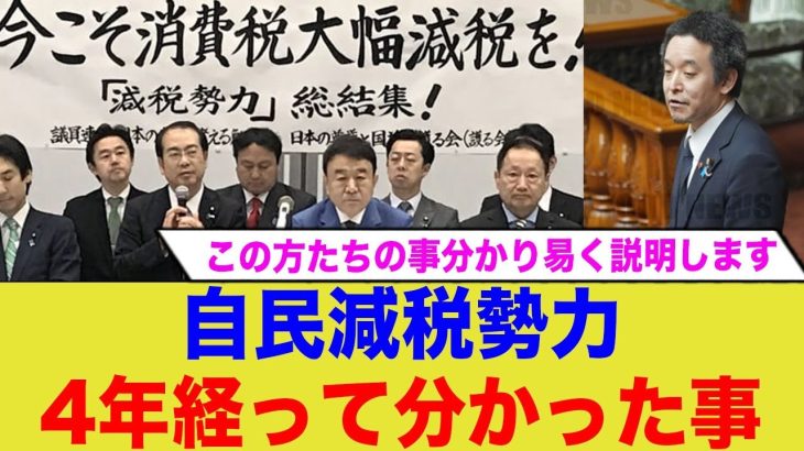 浜田議員「自民党の減税反対派というのは…」