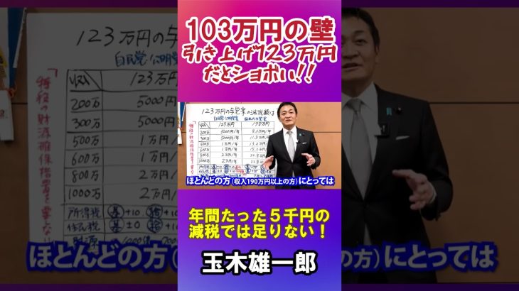 【玉木雄一郎】103万円の壁の引き上げ 123万円だとショボい！