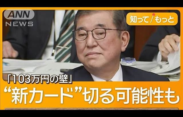 石破総理の答弁に国民民主・玉木氏反発「123万円のままなら予算案には反対」【知ってもっと】【グッド！モーニング】(2025年1月30日)