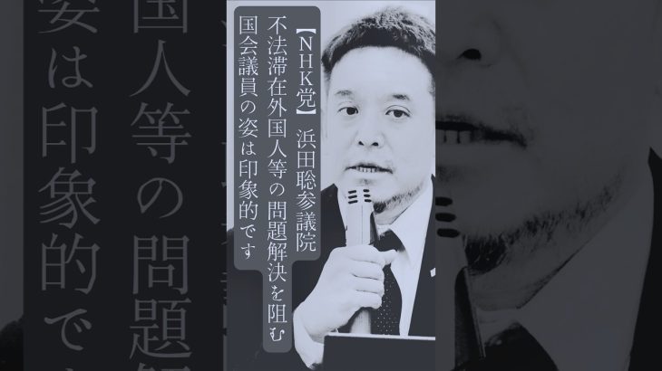 【NHK党】浜田聡参議院／不法滞在外国人等の問題解決を阻む国会議員の姿は印象的です #日常 #トリビア #雑学