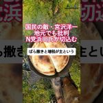 広島経済と岸田・宮沢利権政治の裏側を浜田聡議員が切り込む切り込むVoiced by https://CoeFont.cloud #岸田文雄 #宮沢洋一 #浜田聡 #NHK党 #自民党