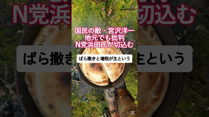 広島経済と岸田・宮沢利権政治の裏側を浜田聡議員が切り込む切り込むVoiced by https://CoeFont.cloud #岸田文雄 #宮沢洋一 #浜田聡 #NHK党 #自民党