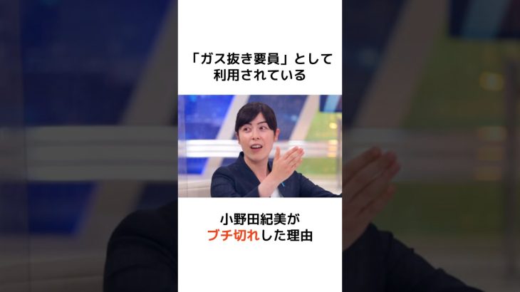 「ガス抜き要員」として利用されている小野田紀美がブチ切れした理由 #歴史 #政治 #財務省 #消費税 #shorts  #増税 #自民党 #財務省 #小野田紀美