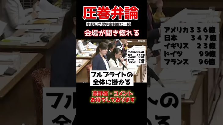 【小野田紀美】「なぜ日本で日本人が優遇されない？」意味不明な政策に小野田ブチギレ。#shorts #政治 #国家中継