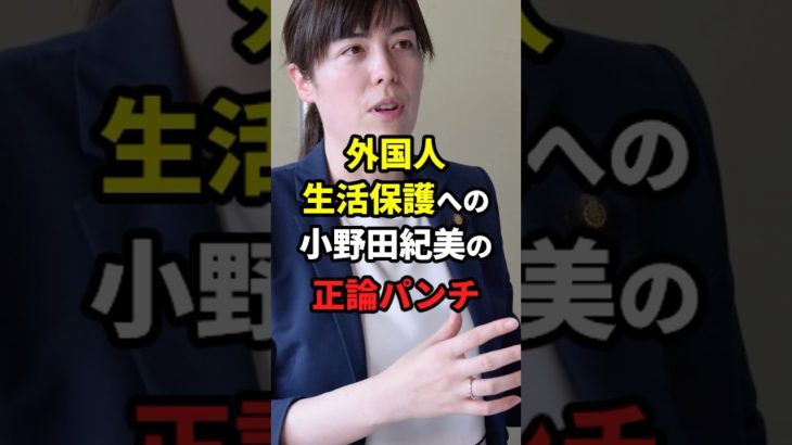 【朗報】：外国人生活保護への小野田紀美の正論パンチ！