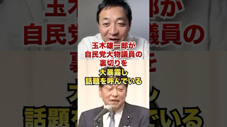 玉木雄一郎「おかしいのは自民党ですよね？」