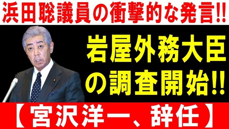 浜田聡議員の衝撃的な発言!! 岩屋外務大臣の調査開始!! 今晩にでも退陣表明!!