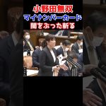 【小野田紀美】マイナンバーカードと健康保険証の闇をぶった斬る小野田議員【小野田紀美議員のエピソード46】