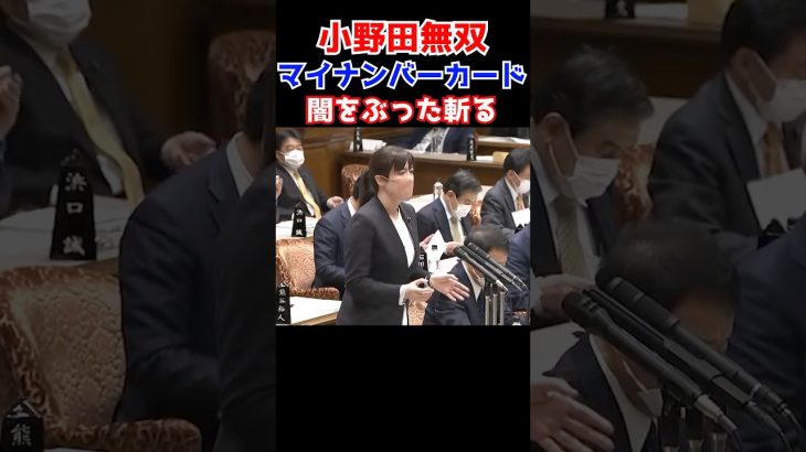 【小野田紀美】マイナンバーカードと健康保険証の闇をぶった斬る小野田議員【小野田紀美議員のエピソード46】