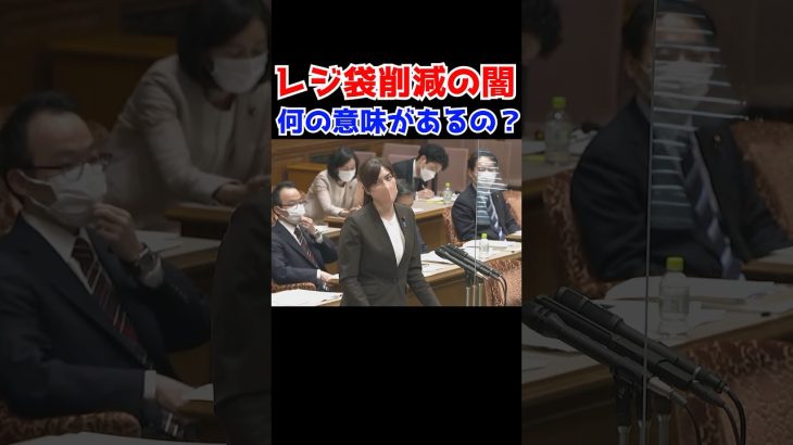 【小野田紀美】レジ袋削減の闇に切り込む小野田紀美〜これって何の意味があるの？〜【小野田紀美議員のエピソード48】