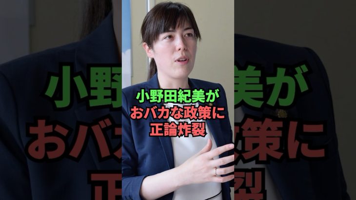 小野田紀美がおバカな政策に正論炸裂