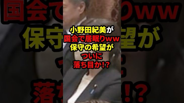 【速報】小野田紀美が国会で居眠りwwガス抜き要員、ついに落ち目か！？#自民党 #石破茂 #高市早苗 #国民民主党 #玉木雄一郎 #財務省 #立憲民主党 #れいわ新選組