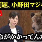 【小野田紀美】人の命を見捨てる政府の怠慢に”小野田”がブチギレる！！クマの脅威から国民を守る自民最後の希望！！#石破茂 #自民党 #高市早苗 #玉木雄一郎 #れいわ新選組