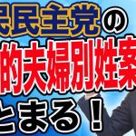 国民民主党の選択的夫婦別姓案がまとまる 皆さんの疑問にお答えします 玉木雄一郎が解説