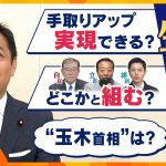 【ヨコスカ解説】国民・玉木代表に生直撃‼　キーマンが見据える政策実現の道筋、政局の展望は・・・