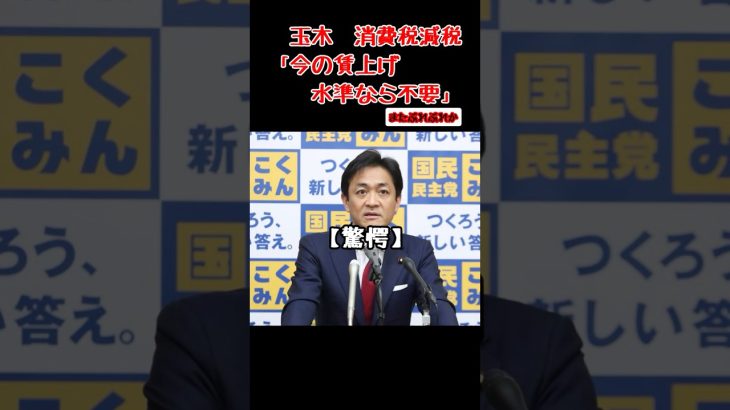 玉木代表　消費税減税不要　#政治ニュース #国民民主党 #玉木雄一郎