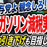 ガソリン減税実現へ動き出す！軽油を含む他の油種についても引き下げを 玉木雄一郎が解説